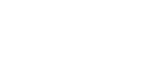 Running bird®